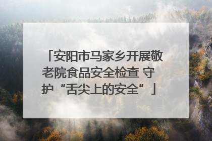 安阳市马家乡开展敬老院食品安全检查 守护“舌尖上的安全”