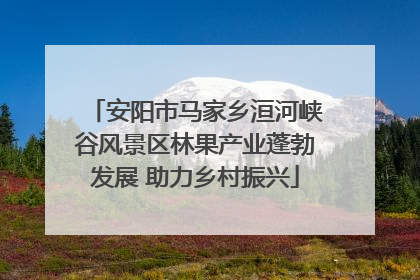 安阳市马家乡洹河峡谷风景区林果产业蓬勃发展 助力乡村振兴
