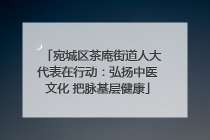 宛城区茶庵街道人大代表在行动：弘扬中医文化 把脉基层健康