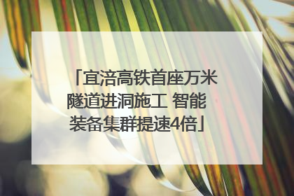 宜涪高铁首座万米隧道进洞施工 智能装备集群提速4倍