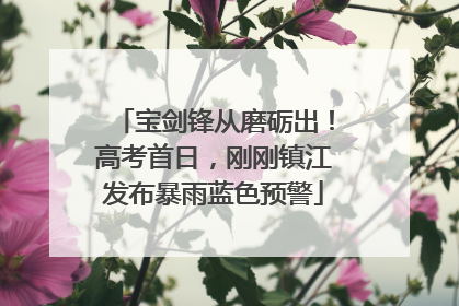 宝剑锋从磨砺出！高考首日，刚刚镇江发布暴雨蓝色预警