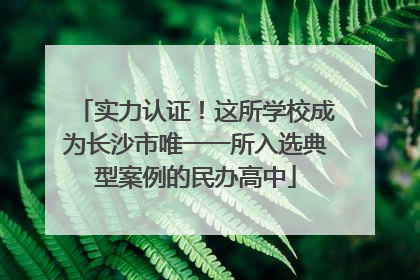 实力认证！这所学校成为长沙市唯一一所入选典型案例的民办高中