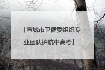 宣城市卫健委组织专业团队护航中高考