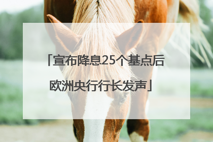 宣布降息25个基点后 欧洲央行行长发声