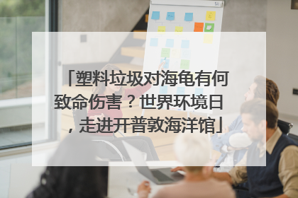 塑料垃圾对海龟有何致命伤害？世界环境日，走进开普敦海洋馆