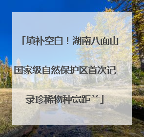 填补空白！湖南八面山国家级自然保护区首次记录珍稀物种宽距兰