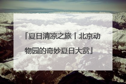夏日清凉之旅丨北京动物园的奇妙夏日大赏