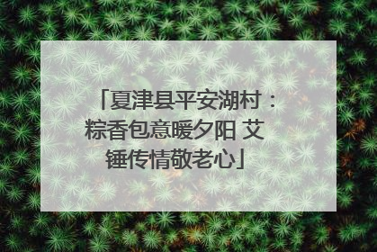夏津县平安湖村：粽香包意暖夕阳 艾锤传情敬老心