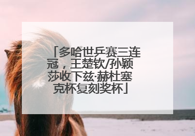 多哈世乒赛三连冠，王楚钦/孙颖莎收下兹·赫杜塞克杯复刻奖杯