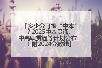 多少分可报“中本”？2025中本贯通、中高职贯通等计划公布！附2024分数线