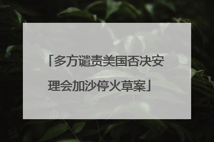 多方谴责美国否决安理会加沙停火草案
