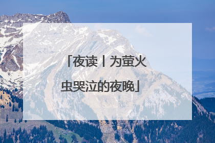 夜读丨为萤火虫哭泣的夜晚