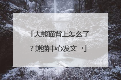 大熊猫背上怎么了？熊猫中心发文→