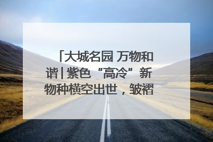 大城名园 万物和谐│紫色“高冷”新物种横空出世，皱褶叶片暗藏进化密码