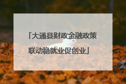 大通县财政金融政策联动稳就业促创业