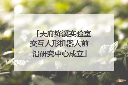 天府绛溪实验室交互人形机器人前沿研究中心成立