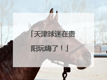 天津球迷在贵阳玩嗨了！