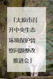 太原市召开中央生态环境保护督察问题整改推进会