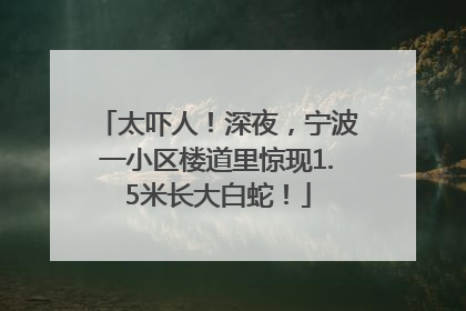 太吓人！深夜，宁波一小区楼道里惊现1.5米长大白蛇！