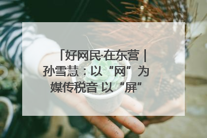 好网民·在东营｜孙雪慧：以“网”为媒传税音 以“屏”为介助发展