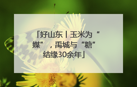 好山东丨玉米为“媒”，禹城与“糖”结缘30余年