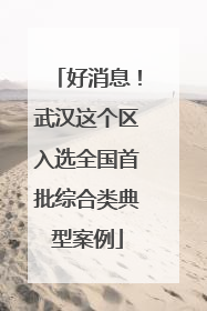 好消息！武汉这个区入选全国首批综合类典型案例