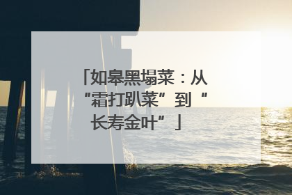 如皋黑塌菜：从“霜打趴菜”到“长寿金叶”