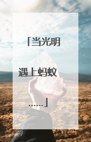 当光明遇上蚂蚁……