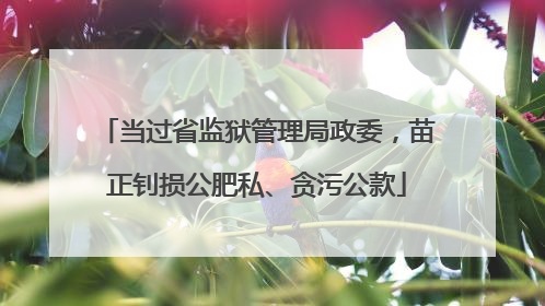 当过省监狱管理局政委，苗正钊损公肥私、贪污公款