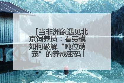 当非洲象遇见北京饲养员：看劳模如何破解“吨位萌宠”的养成密码