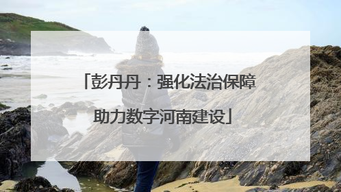 彭丹丹：强化法治保障 助力数字河南建设