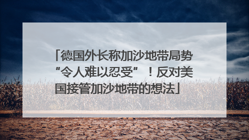 德国外长称加沙地带局势“令人难以忍受”！反对美国接管加沙地带的想法