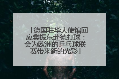 德国驻华大使馆回应樊振东赴德打球：会为欧洲的乒乓球联赛带来新的光彩