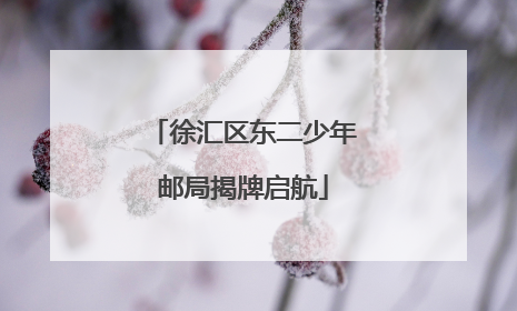 徐汇区东二少年邮局揭牌启航