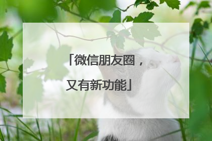 微信朋友圈，又有新功能