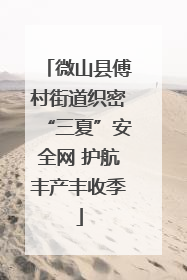微山县傅村街道织密“三夏”安全网 护航丰产丰收季