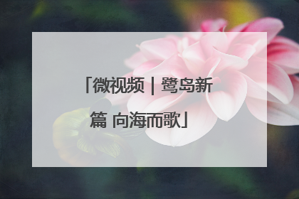 微视频｜鹭岛新篇 向海而歌