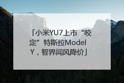 小米YU7上市“咬定”特斯拉Model Y，智界闻风降价
