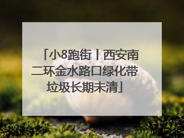 小8跑街丨西安南二环金水路口绿化带垃圾长期未清