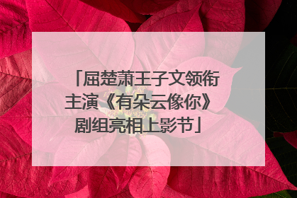 屈楚萧王子文领衔主演《有朵云像你》剧组亮相上影节
