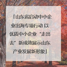 山东省启动中小企业出海专项行动 以优质中小企业“走出去”新成效展示山东产业发展新形象