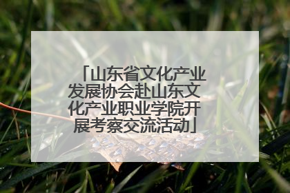 山东省文化产业发展协会赴山东文化产业职业学院开展考察交流活动