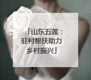 山东五莲：驻村帮扶助力乡村振兴