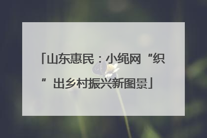 山东惠民：小绳网“织”出乡村振兴新图景