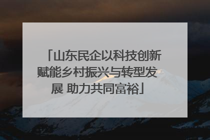 山东民企以科技创新赋能乡村振兴与转型发展 助力共同富裕