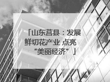 山东莒县：发展鲜切花产业 点亮“美丽经济”