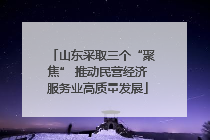 山东采取三个“聚焦” 推动民营经济服务业高质量发展