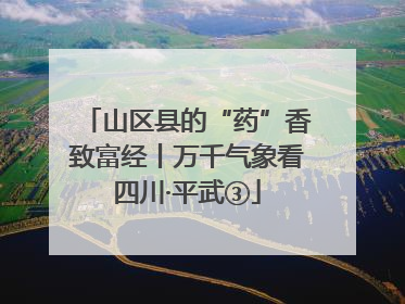 山区县的“药”香致富经丨万千气象看四川·平武③