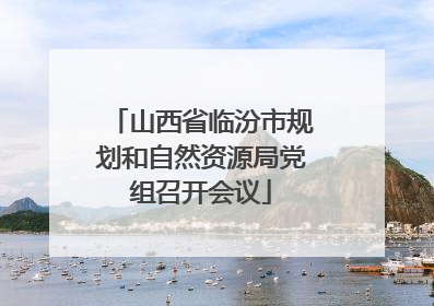山西省临汾市规划和自然资源局党组召开会议