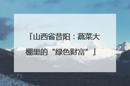 山西省昔阳：蔬菜大棚里的“绿色财富”